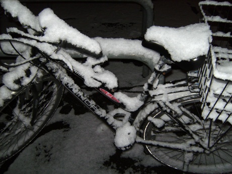 winterrad