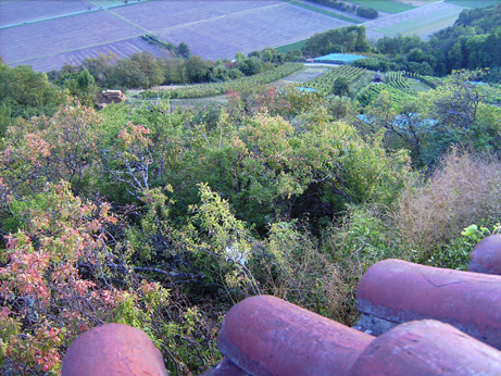 wurmlinger-kapelle-1k